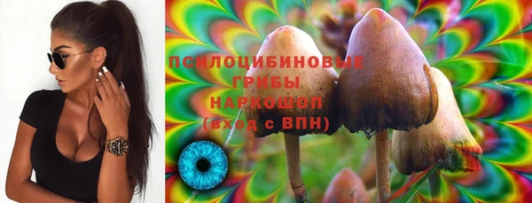 кокс Арсеньев